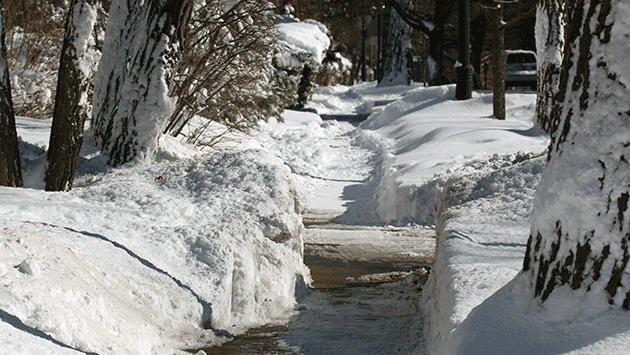 snow-sidewalk-150202-img_4777